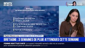 En Bretagne, jusqu'à 15 jours de précipitations attendus d'ici ce mardi 27 janvier