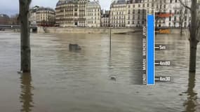 Les images marquantes d'une semaine de crue à Paris