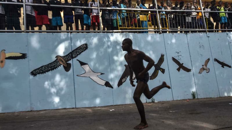 Des migrants tentent de franchir la clôture de Ceuta, le 22 août 2018