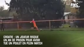 Croatie : Un joueur risque un an de prison pour avoir tué un poulet en plein match