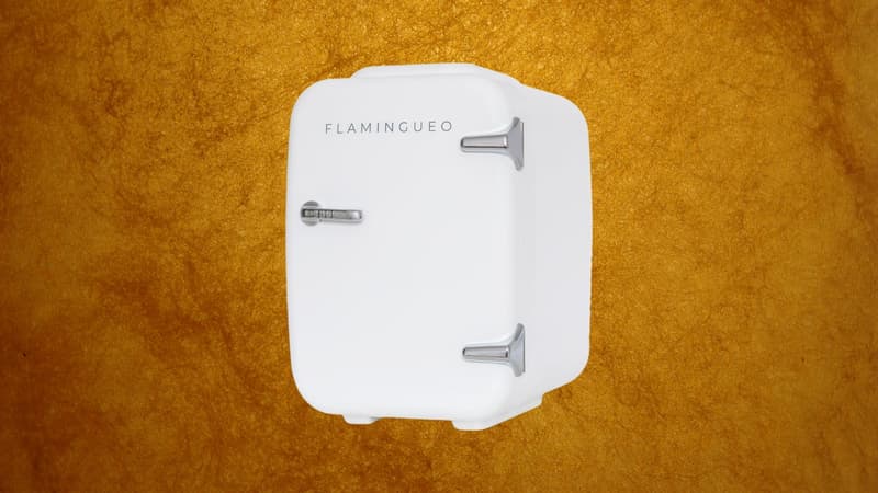 Les prix ne sont pas gelés sur ce mini-frigo : il est à moins de 45 euros