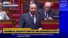 "Madame Rousseau, vous nous cassez les oreilles", lance le député (UDR) Gérault Verny à la députée écologiste