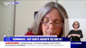 Lina Besnier, maire de Saint-Clément-des-Baleines (Charente-Maritime): "Les arbres sont fragilisés (...) je demande aux gens d'être prudents"