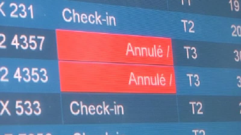 Les hôtesses et stewards d'easyJet réclament de meilleures conditions de travail. 