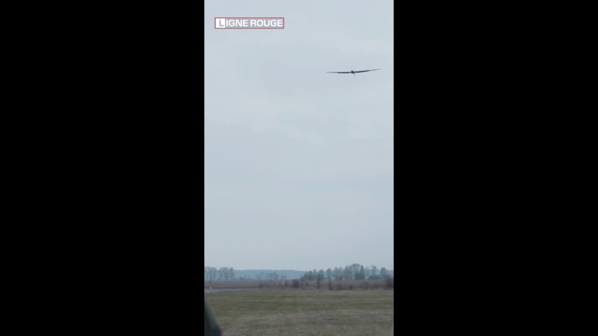 placeholder video