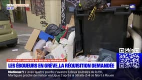 Marseille: les éboueurs en grève, la réquisition demandée avant l'arrivée de la flamme olympique