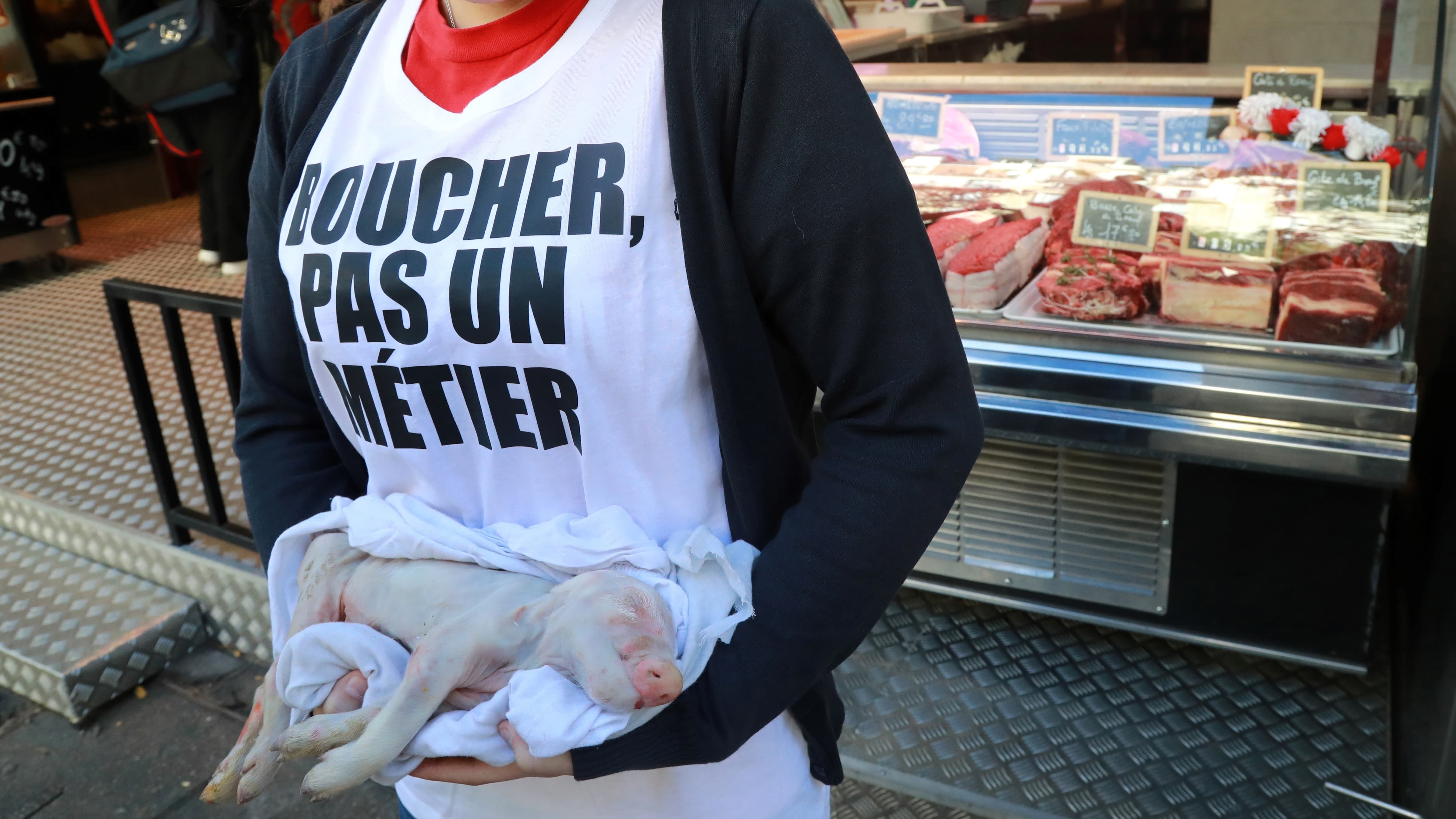 Abattoirs Et Boucheries Dans Le Collimateur Des Militants Anti-viande