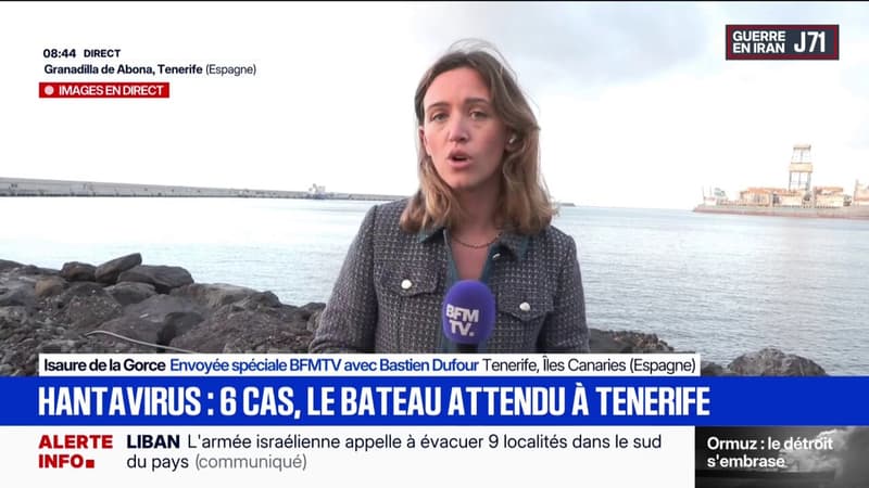 Hantavirus: comment les passagers vont être évacués du MV Hondius à Tenerife