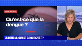 Qu'est-ce que la dengue? BFMTV répond à vos questions