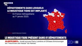 Le moustique du tigre est maintenant présent dans plus de 80% des départements français