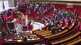 Les députés votent l'exclusion de Grégoire de Fournas
