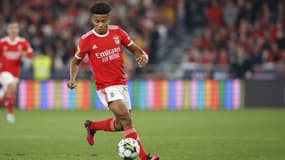 David Neres - Benfica 