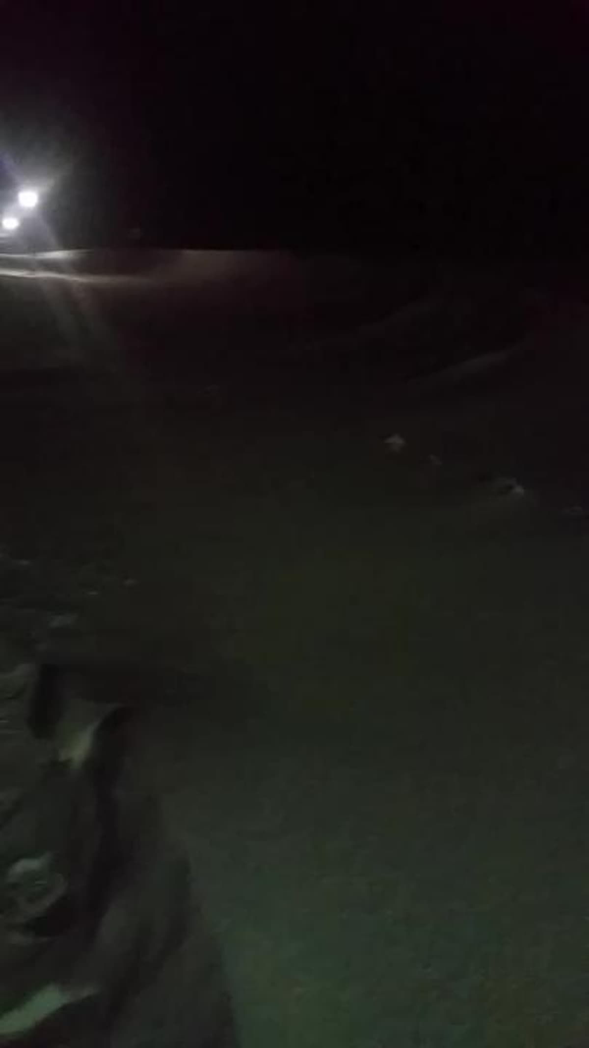 placeholder video