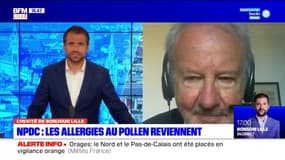 Allergies pollen: selon le Pr Denis Charpin, "c'est un phénomène qui va s'apaiser"