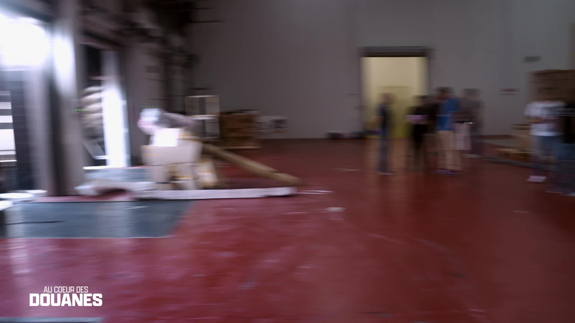 AU CŒUR DES DOUANES
