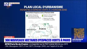 Paris: les pistes de la ville pour développer les espaces verts