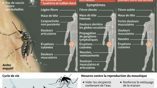 Trois virus menacent l'Amérique latine