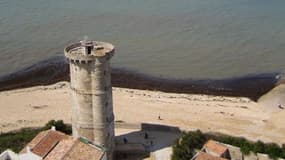 Le pyromane de l'île de Ré arrêté