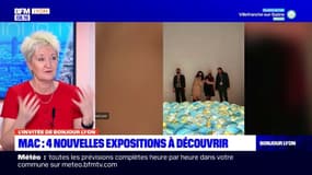Lyon: quatre nouvelles expositions proposées au musée d'art contemporain