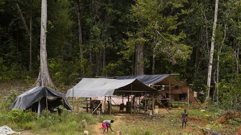 Camp de mineurs en Guyane. Le principal suspect du meurtre de deux militaires français fin juin lors d'une opération contre l'orpaillage clandestin en Guyane était détenu au Brésil, à Macapa, dans l'Etat de l'Amapa, a-t-on appris vendredi auprès de la pol