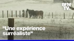 De fortes chutes de neige ont recouvert plusieurs États australiens 