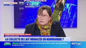 Normandie: la collecte de lait menacée dans la région? 