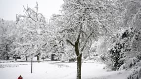 Un enfant jouant dans la neige à Saint-Etienne samedi 15 mars 2025 (image d'illustration)