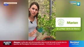Jardinage & Flûte enchantée - La météo de Colas du mardi 30 septembre 2025 