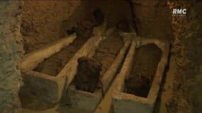 VIDÉO - Des momies de plus de 2000 ans dévoilées en Egypte