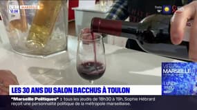 Toulon: 30.000 visiteurs attendus pour les 30 ans du salon Bacchus