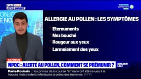 Alerte au pollen dans le Nord et le Pas-de-Calais: comment se prémunir? 