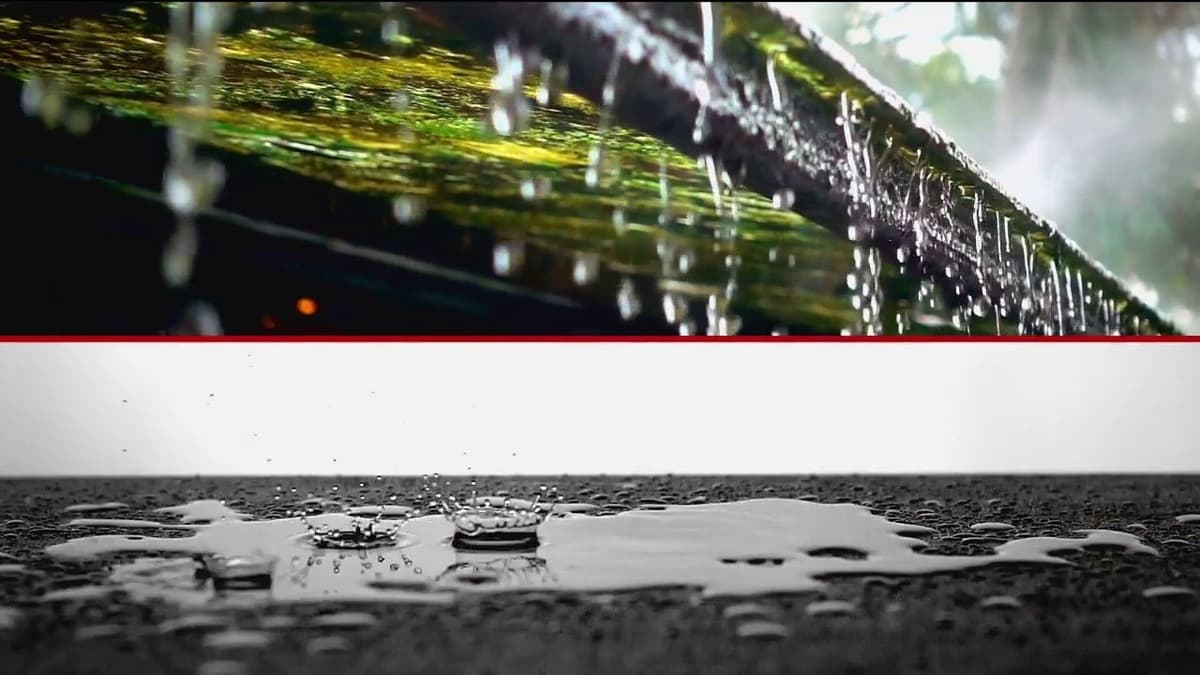 placeholder video