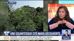 Une gigantesque cité maya découverte