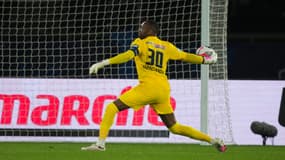 Steve Mandanda - Rennes
