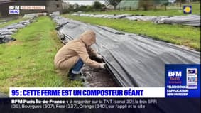 Val-d'Oise: une ferme comme composteur géant grâce à des milliers de vers de terre