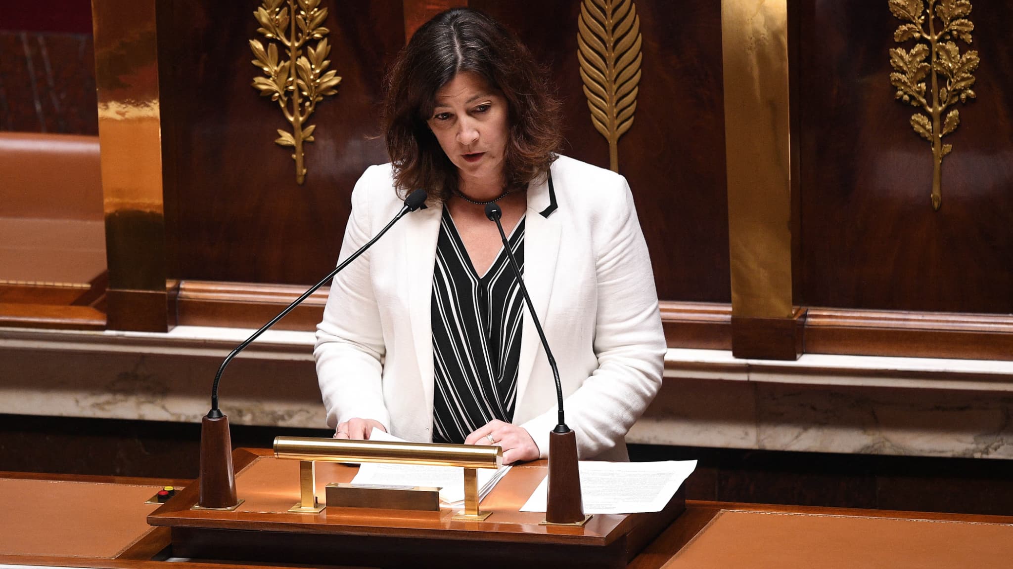 MUNICIPALES 2026: L'ANCIENNE DÉPUTÉE CÉCILE RILHAC OPPOSÉE AU MAIRE SORTANT PHILIPPE ROULEAU À HERBLAY-SUR-SEINE