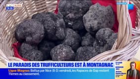 Montagnac-Montpezat : le marché aux truffes a commencé