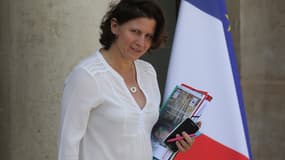 Roxana Maracineanu
