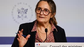 La porte-parole du gouvernement, Sophie Primas, lors d'une conférence de presse à Paris, le 5 février 2025 (photo d'illustration).
