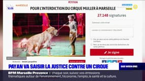 Marseille: le maire Benoît Payan va saisir la justice contre un cirque pour maltraitance animale
