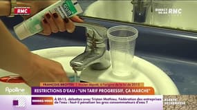 Restrictions d'eau : "un tarif progressif, ça marche"
