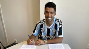 Luis Suarez