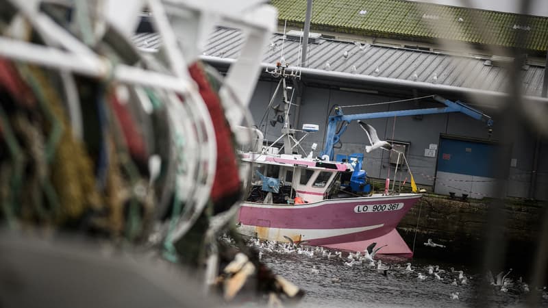 Les flottilles de pêche les plus destructibles sont les plus subventionnées, selon une étude