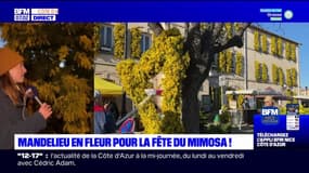 Mandelieu-la-Napoule: la Fête du mimosa fait son retour