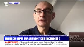 "La météo commence à être avec nous": le soulagement du vice-président de la Fédération nationale des sapeurs-pompiers de France