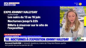 Ça se passe en Île-de-France: nocturnes à l'exposition Johnny Hallyday et art urbain au Petit Palais