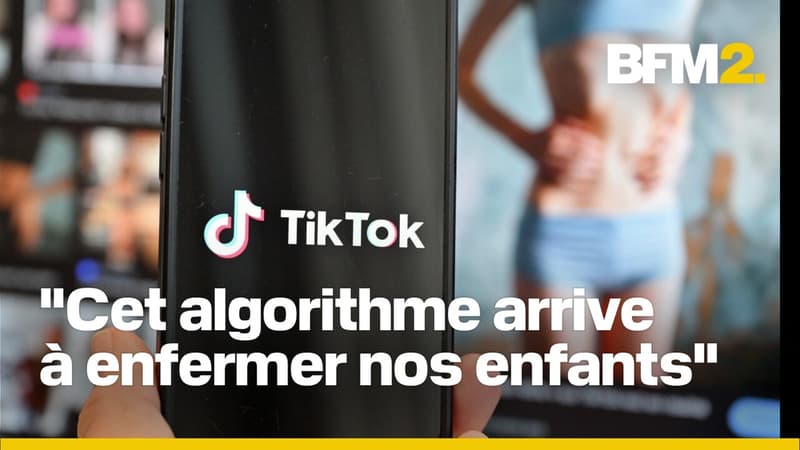 Risques psychologiques de TikTok sur les mineurs: des familles témoignent à l'Assemblée nationale