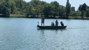 Les pêcheurs amateurs de Vaucluse montent au créneau face à l'autorisation pour les professionnels de pêcher les silures du Rhône