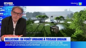 Place Bellecour: la forêt urbaine présentée en 2020 coûtait 20 millions d'euros