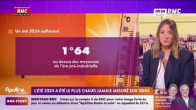Eté 2024, le plus chaud jamais mesuré sur Terre